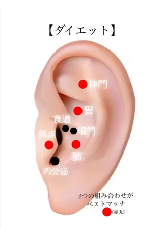  SOLEIL 小玉の眉毛・アイブロウイメージ