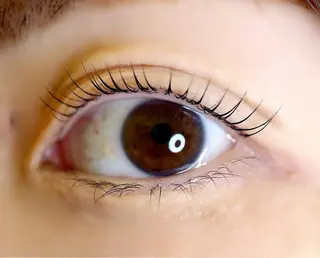 マツエク・マツパ 高蔵寺まつげ所属・高蔵寺まつげ 🌿 YANAの眉毛・アイブロウイメージ