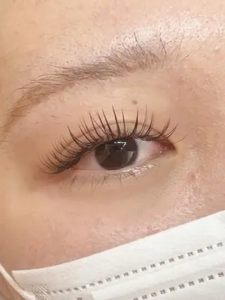 マツエク・マツパ Eyelash Hauoliの眉毛・アイブロウイメージ