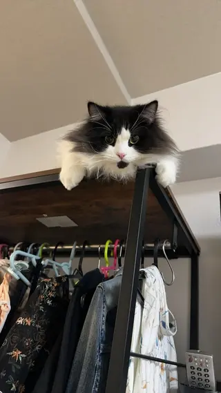 ネイル Eveネイル チップスカルプ専門店のネイルデザイン