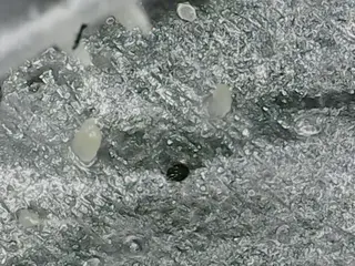 MONA 北村の眉毛・アイブロウイメージ