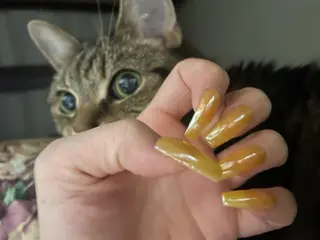 ネイル nailsalonIF所属・akira .のネイルデザイン