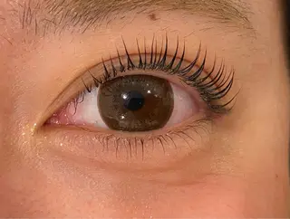 マツエク・マツパ Daisy lash 京橋店堀井のマツエク・マツパデザイン