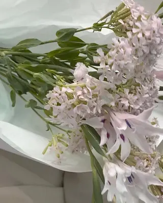 マツエク・マツパ H. Yurinaの眉毛・アイブロウイメージ