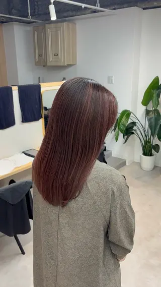 セミロング toto.船橋店所属・🩶toto. / UMI🩶のヘアスタイル