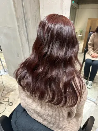 カラー ナチュラルカラー /カット/藤井美冬のヘアスタイル