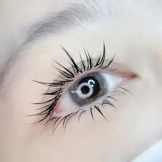 マツエク・マツパ foisalon 大久保店のマツエク・マツパデザイン