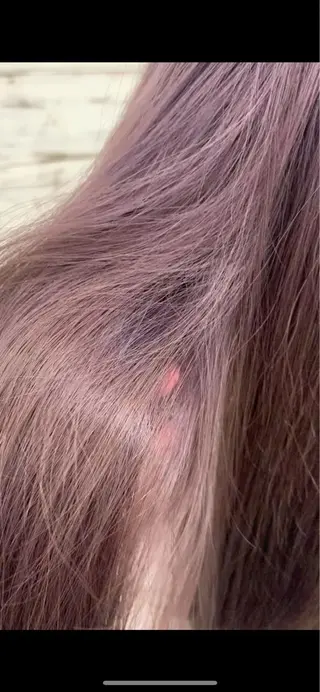 ロング カラー 🫧ヒシダアキ /taboo🫧のヘアスタイル