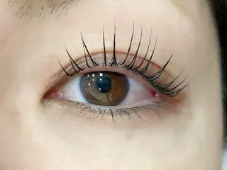 マツエク・マツパ アルターエクラ 飯島のマツエク・マツパデザイン