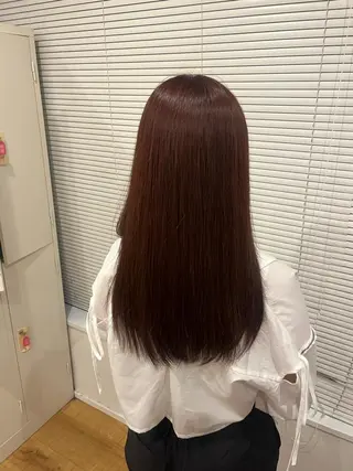 カラー 藤原 智恵のヘアスタイル