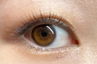 マツエク・マツパ Koa eyelash所属・eyelist🌷 yamakawaのマツエク・マツパデザイン