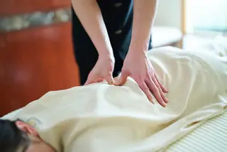 めぐらせの 森のその他イメージ