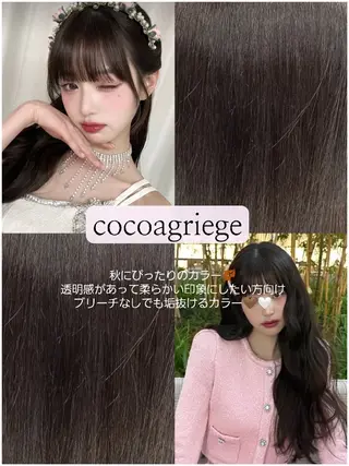 カラー ヒジオカ リナのヘアスタイル