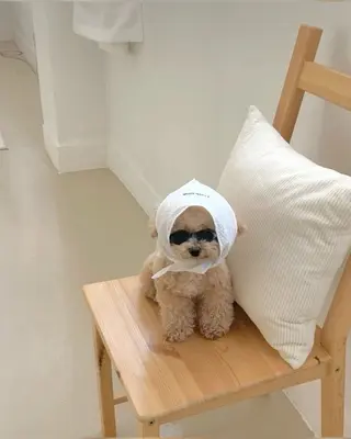 マツエク・マツパ 𝕂𝕪𝕦𝕟𝕠 韓国風/束感/恵比寿の眉毛・アイブロウイメージ