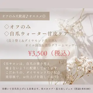 うる艶♡透明感ネイル Rirashiaのネイルデザイン