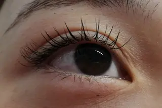 マツエク・マツパ angelux 所属・完全個室サロン🌹 angelux🌹のマツエク・マツパデザイン