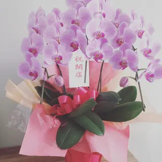 Adore.ca所属・アドアー Adore.caのマツエク・マツパデザイン