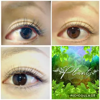 マツエク・マツパ Plants　斧田 ひろみのマツエク・マツパデザイン