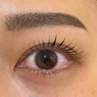 マツエク・マツパ Embellir/ "Aine"🕊のマツエク・マツパデザイン