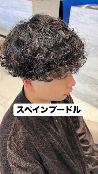 パーマ メンズ 志田 ほん/ メンズパーマのヘアスタイル