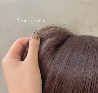 カラー アダチ ヒヨリのヘアスタイル