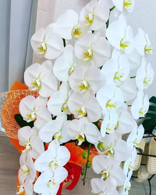 毛穴フェイシャル エステ専門店BBのエステ・リラクイメージ