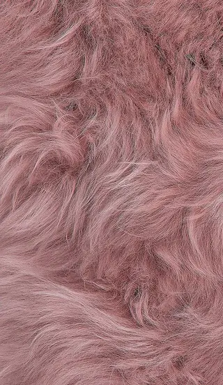 マツエク・マツパ eyelist. mizuki🐈‍⬛のマツエク・マツパデザイン