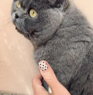 ネイル Queens みなみのネイルデザイン