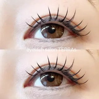 マツエク・マツパ TERRAs 蕨 / hitomi🐰のマツエク・マツパデザイン