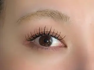 マツエク・マツパ マツエク モデルのマツエク・マツパデザイン