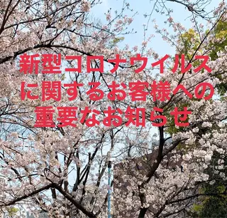 ネイル ガールネイルサロン所属・ガール ネイルサロンのネイルデザイン