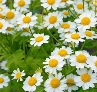 癒し空間 もふもふのエステ・リラクイメージ