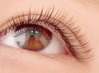 マツエク・マツパ SisterbyB 山口🪸🫧のマツエク・マツパデザイン