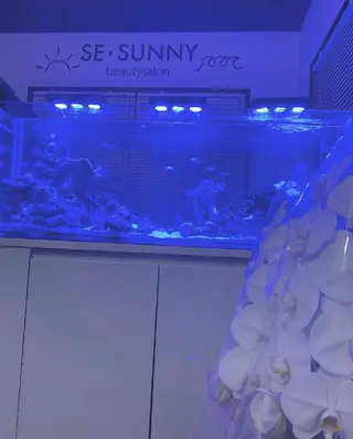 SESUNNY セサニー　SEIRAのマツエク・マツパデザイン