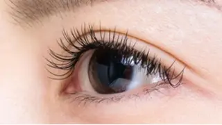 西田 力奈子のヘアスタイル