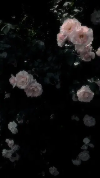 みさき 🫧 ͛.*のマツエク・マツパデザイン