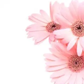 TIÁM eyelashのマツエク・マツパデザイン