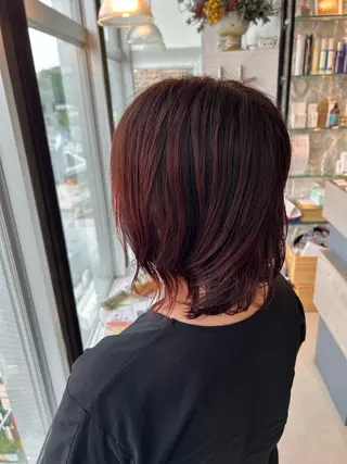 セミロング カラー 🌼ボブ/レイヤー /Hime🌿のヘアスタイル