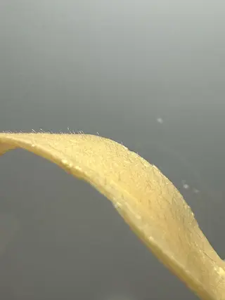 〜Addy〜 yuiのマツエク・マツパデザイン