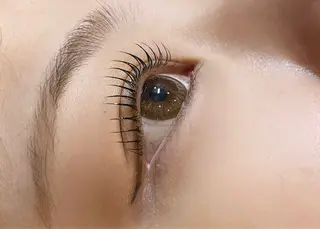 マツエク・マツパ シュモレフェリーク所属・🍑 MOMOのマツエク・マツパデザイン