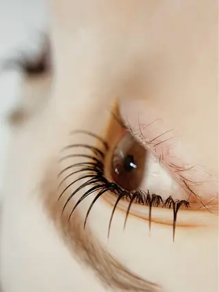 マツエク・マツパ Moe. 🌿‬☽のマツエク・マツパデザイン