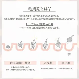 マツエク・マツパ be.perch所属・eye MIHOのマツエク・マツパデザイン