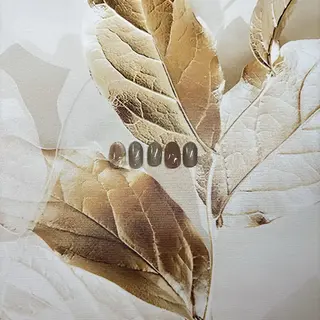 ネイル Nail Salon Storkのネイルデザイン