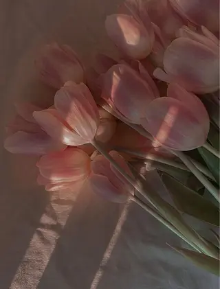 POLA　R-isa所属・小顔 🌿R-isa森井のエステ・リラクイメージ