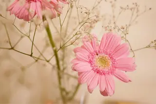 セミロング パーマ ヘアアレンジ メンズ キッズ ネイル マツエク・マツパ ニキビ跡専門サロン Ａｉｎａのエステ・リラクイメージ