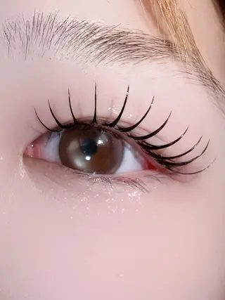 マツエク・マツパ Eyelashsalon   Mayuru所属・Mayuru Yuu‪𖤐.*ﾟのマツエク・マツパデザイン