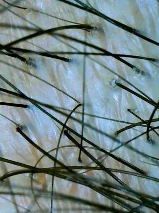 🅖🅤🅩🅔🅛 salonのエステ・リラクイメージ