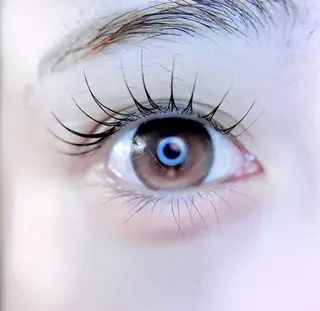 マツエク・マツパ eyelist. mizuki🐈‍⬛の眉毛・アイブロウイメージ