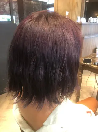 ショート カラー 藤木 雅俊のヘアスタイル