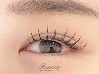 マツエク・マツパ Bianca ENDOのマツエク・マツパデザイン